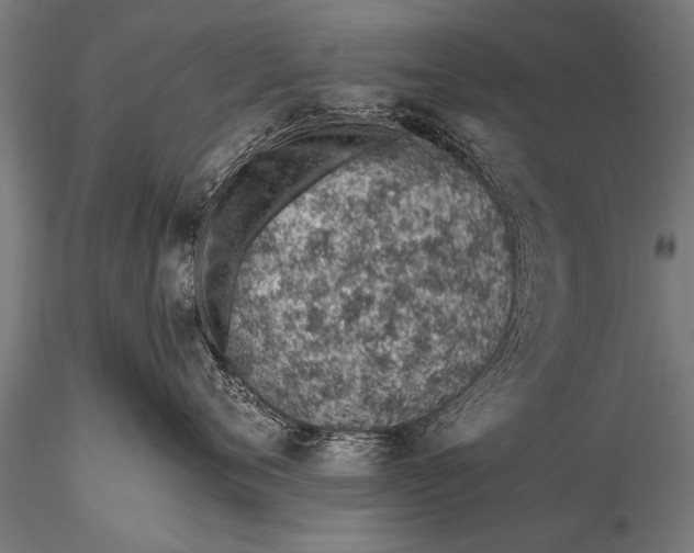 X0000116110720200912141020