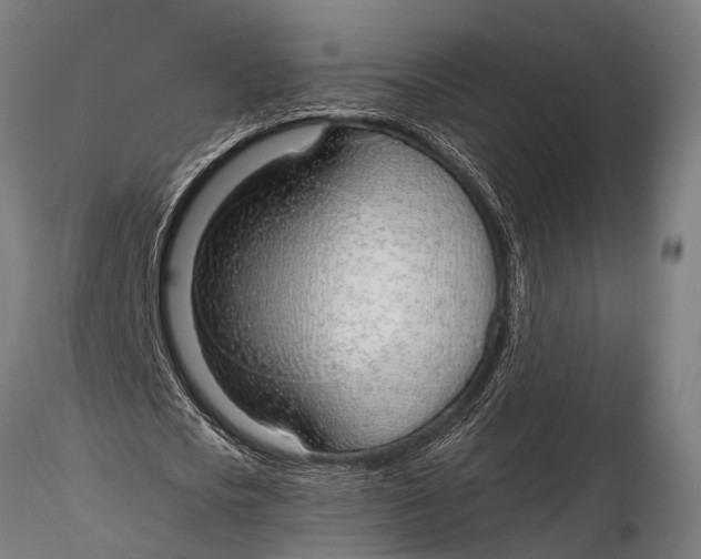 X0000116110721200912141019