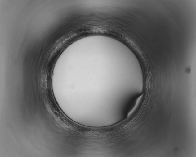 X0000116110722200912141019