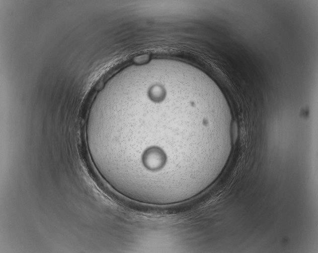 X0000116110725200912141019