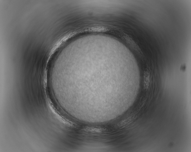 X0000116110726200912141019