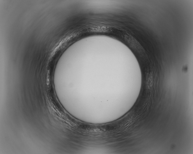 X0000116110731200912141020