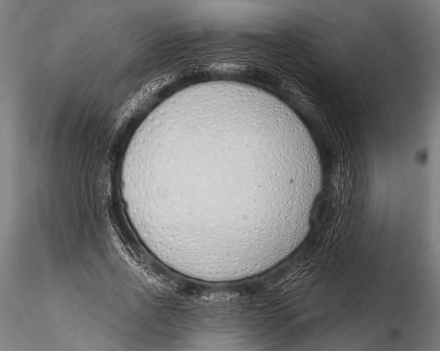 X0000116110734200912141020