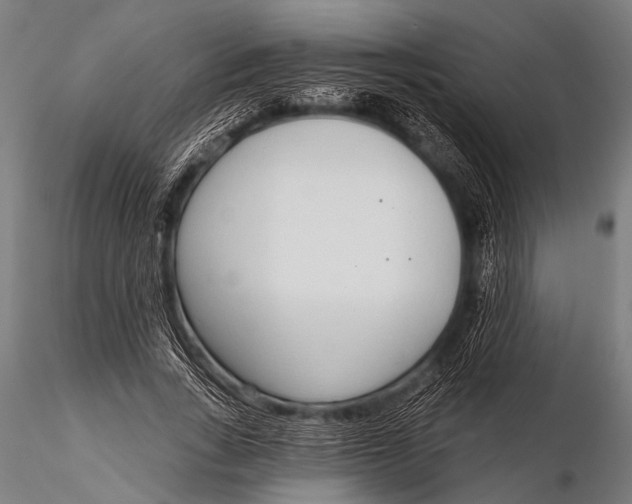 X0000116110735200912141020