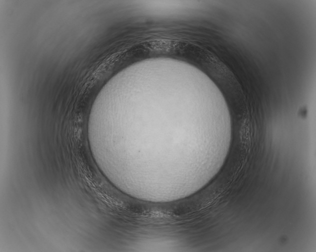 X0000116110737200912141020