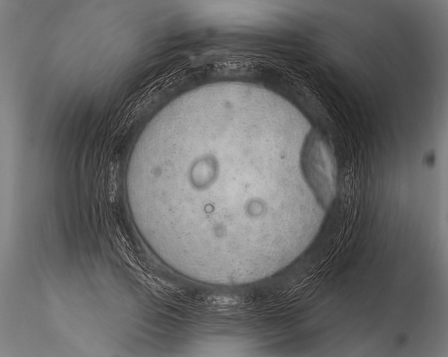 X0000116110741200912141020