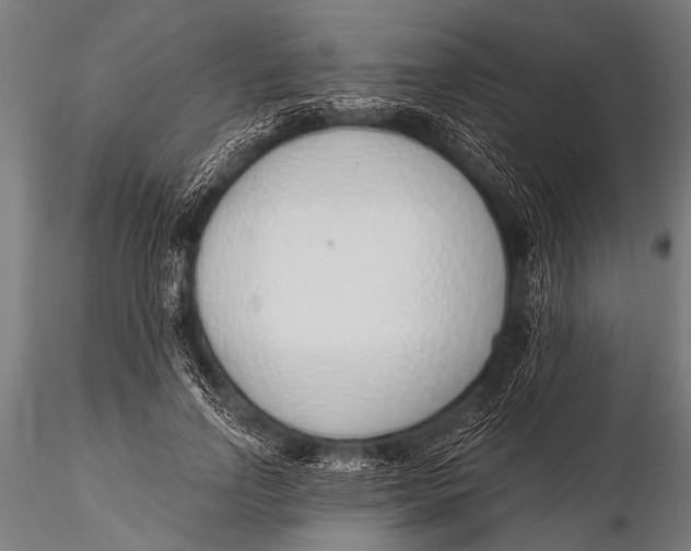 X0000116110742200912141020