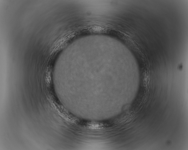 X0000116110746200912141020