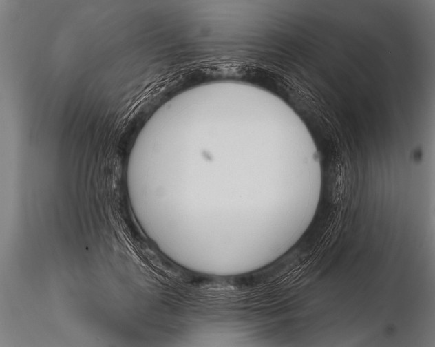 X0000116110747200912141020