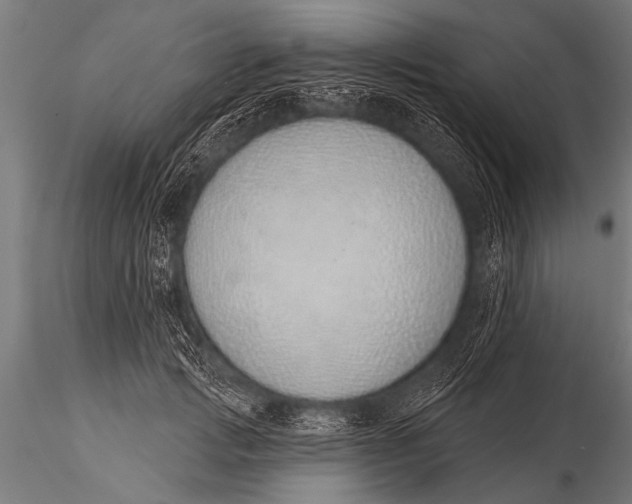 X0000116110749200912141020