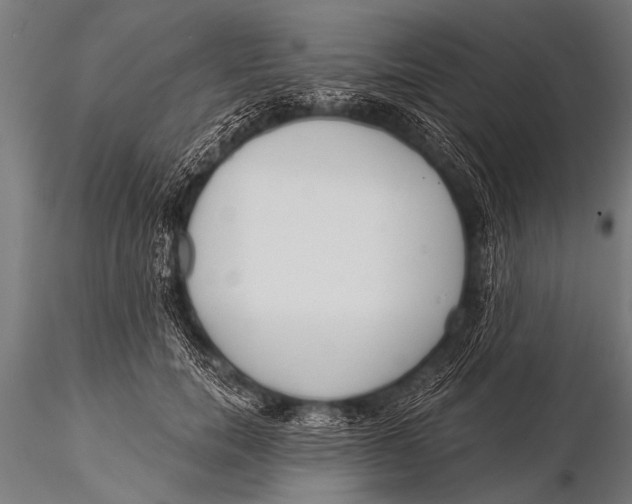 X0000116110750200912141020