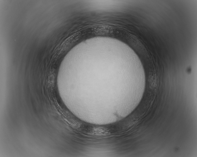 X0000116110753200912141020