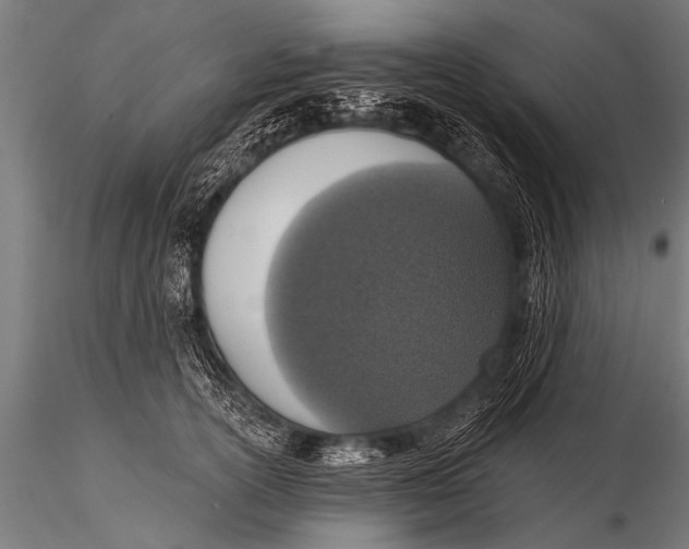 X0000116110754200912141020