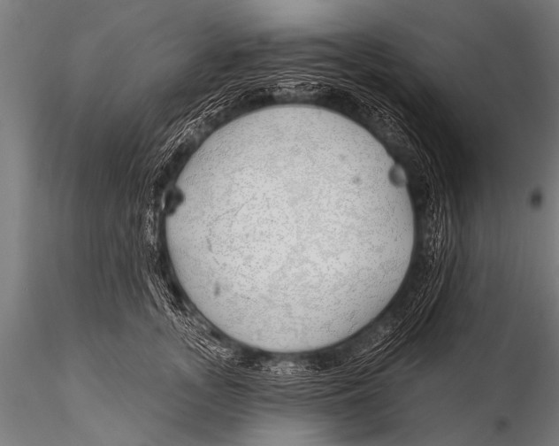 X0000116110755200912141020