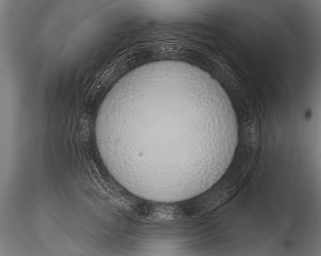 X0000116110757200912141020