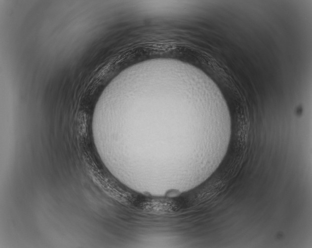 X0000116110758200912141020