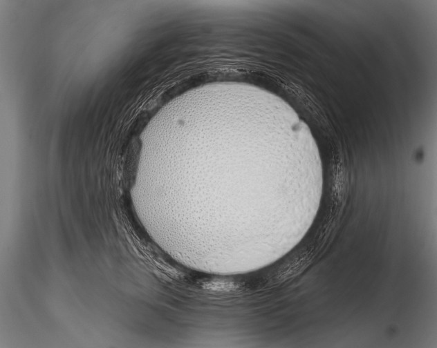 X0000116110759200912141020