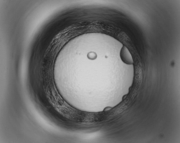 X0000116110765200912141020