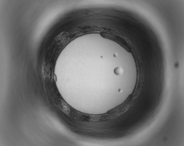 X0000116110766200912141020