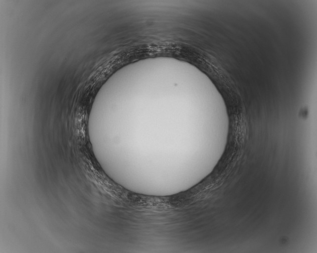 X0000116110770200912141019