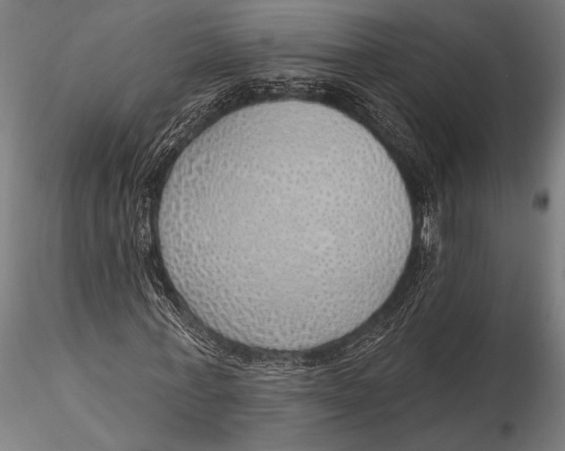 X0000116110771200912141019