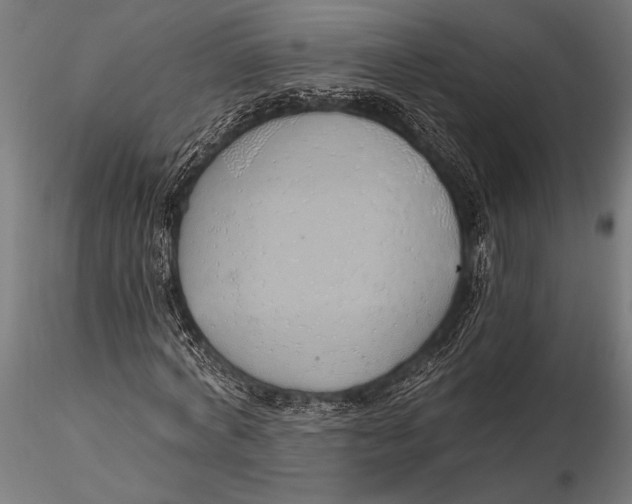 X0000116110772200912141019