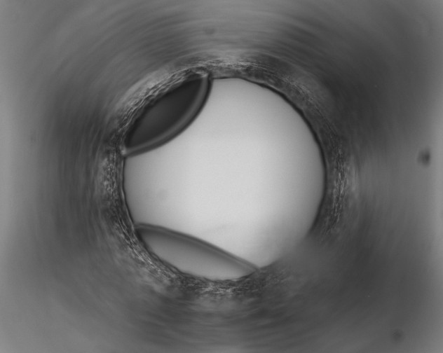 X0000116110773200912141019