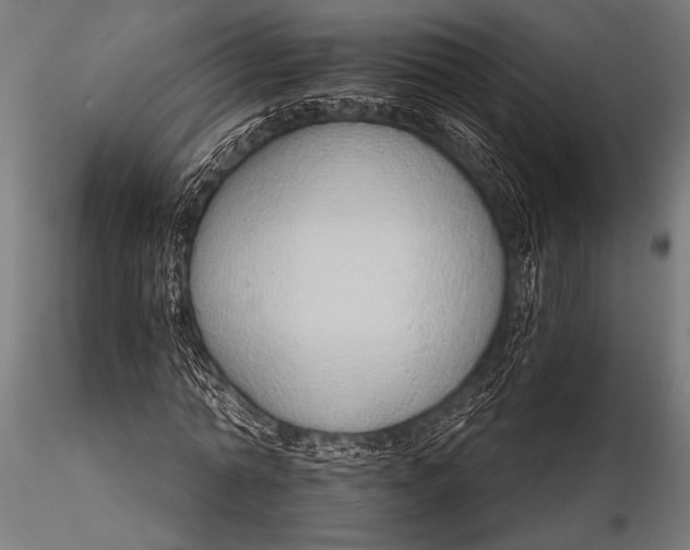 X0000116110774200912141019