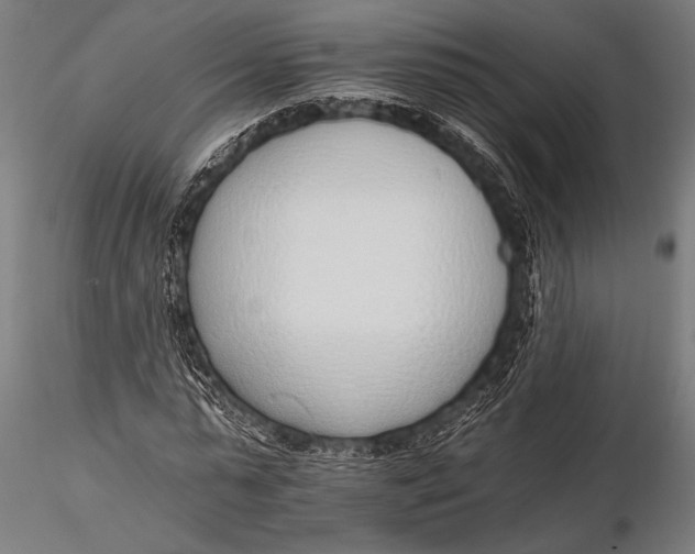 X0000116110775200912141019