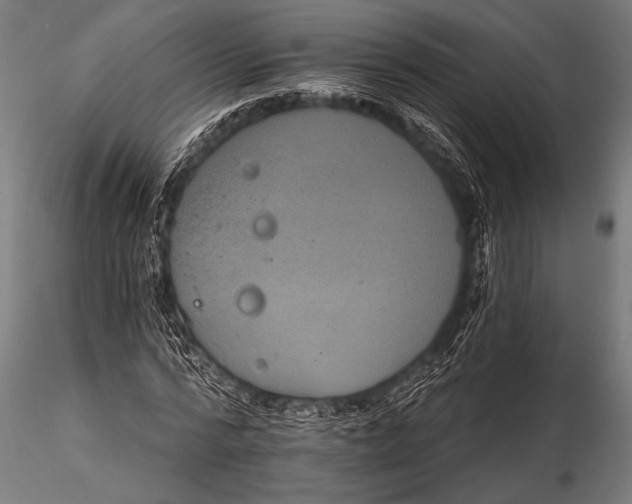 X0000116110776200912141019