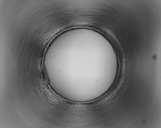 X0000116110777200912141019