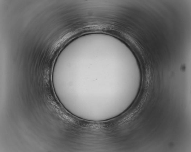 X0000116110778200912141019