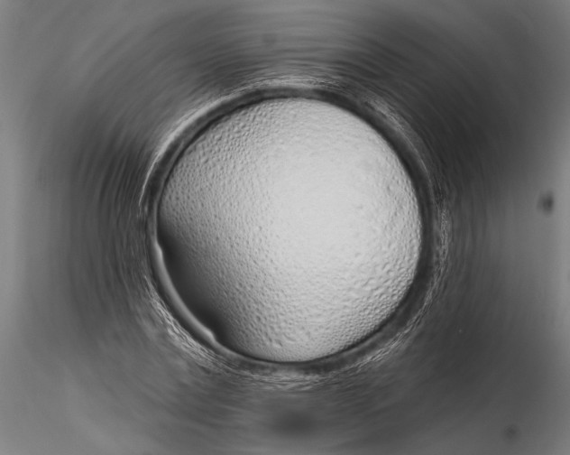 X0000116110779200912141019