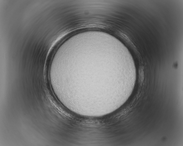 X0000116110780200912141019