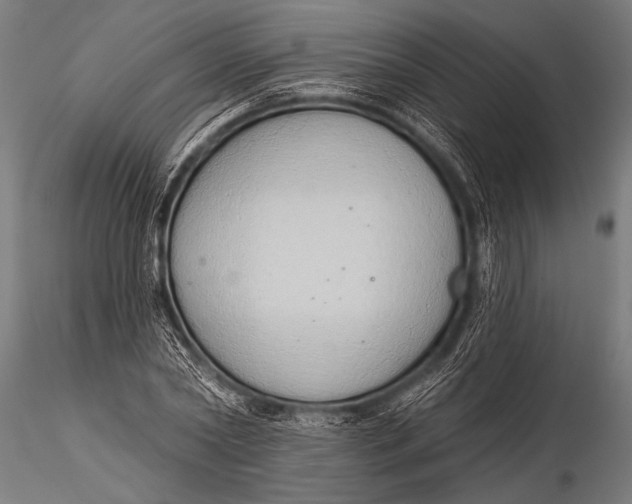 X0000116110782200912141019