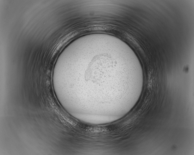 X0000116110786200912141019