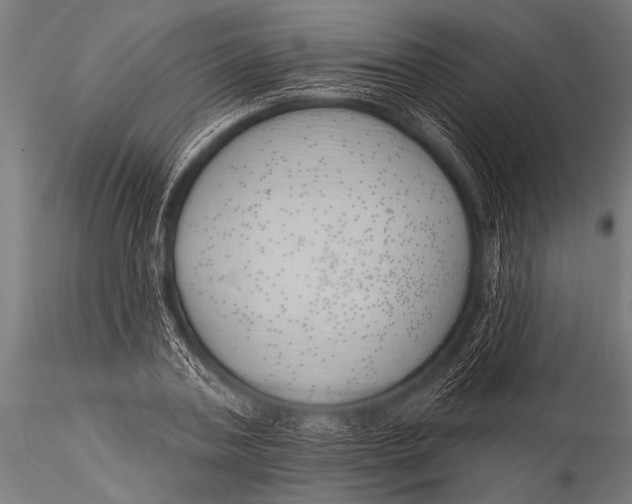 X0000116110787200912141019