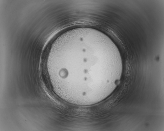 X0000116110788200912141019