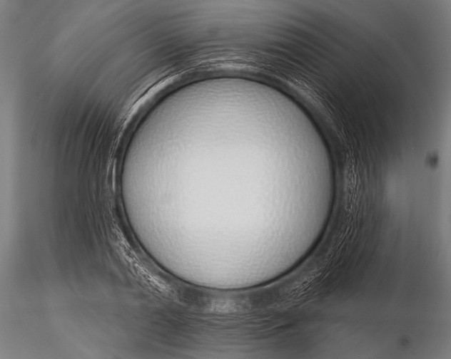 X0000116110790200912141019