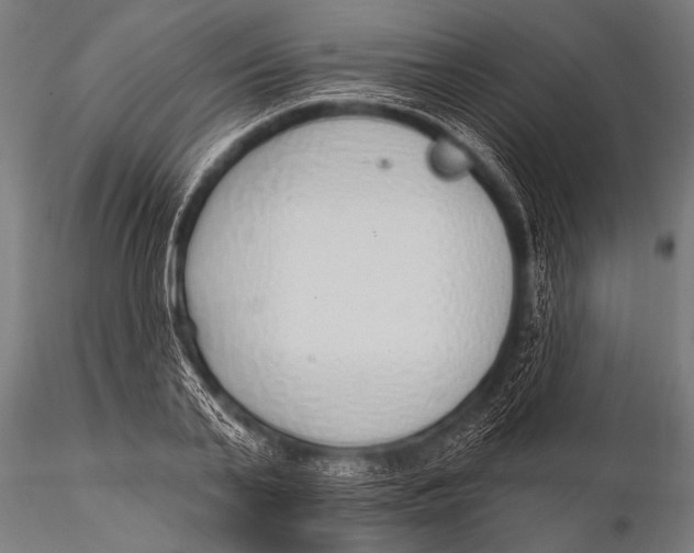 X0000116110791200912141019