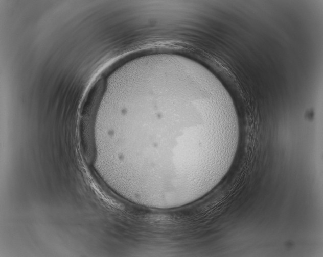 X0000116110792200912141019