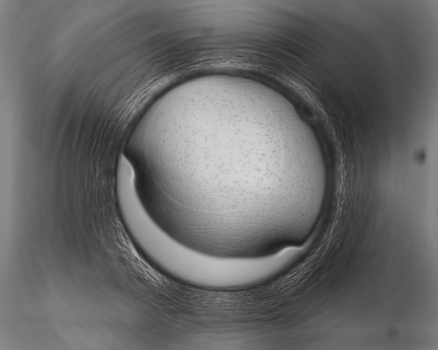 X0000116110793200912141019