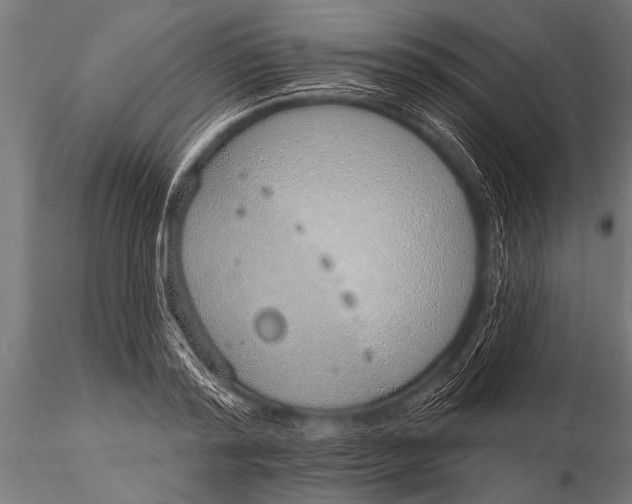 X0000116110796200912141019