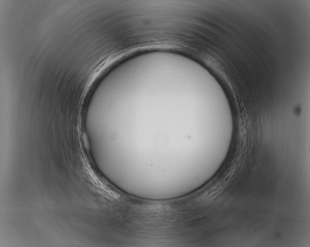 X0000116110797200912141019