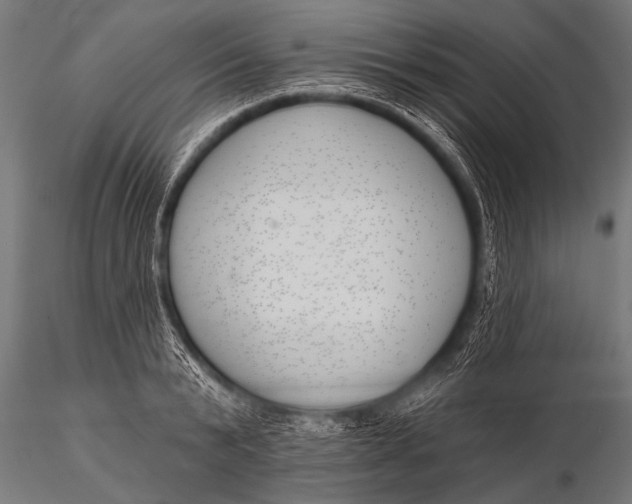 X0000116110799200912141019