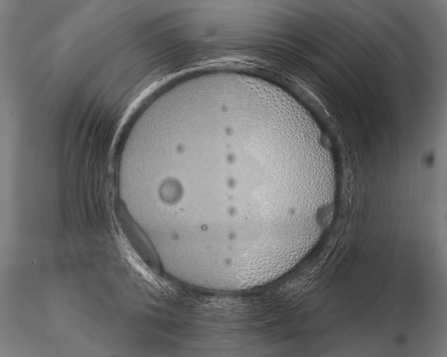 X0000116110800200912141019