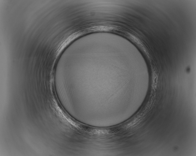 X0000116110802200912141019