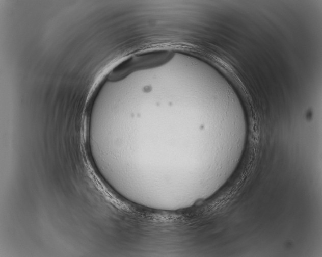 X0000116110804200912141019