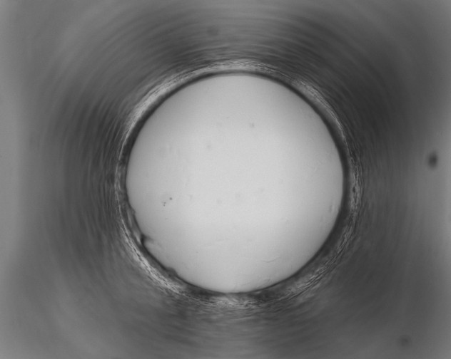 X0000116110805200912141019