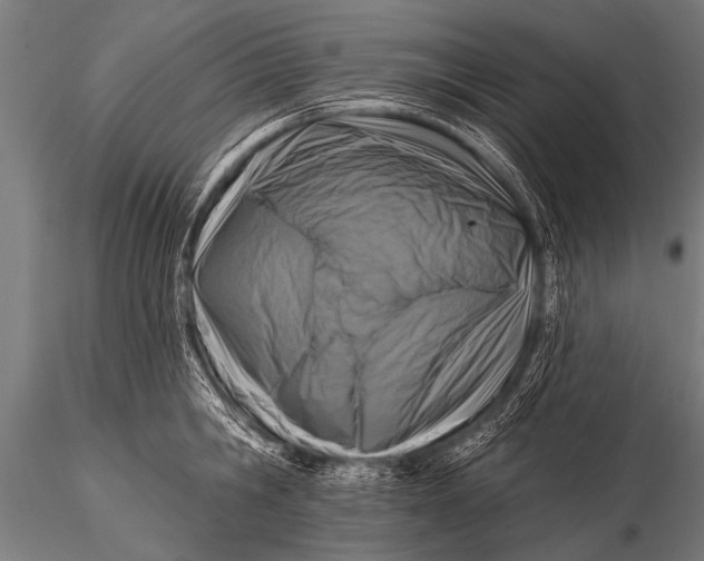 X0000116110806200912141019